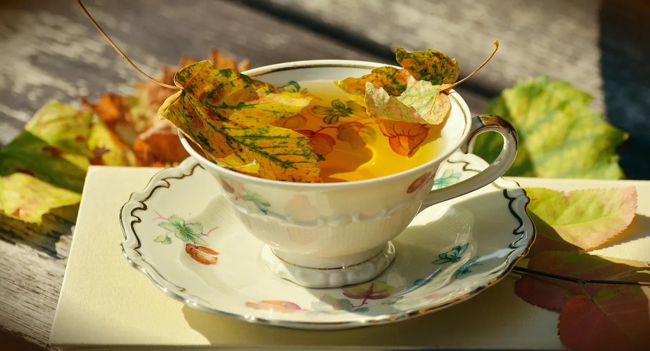 Welcome To Hobart Town Tea Co.